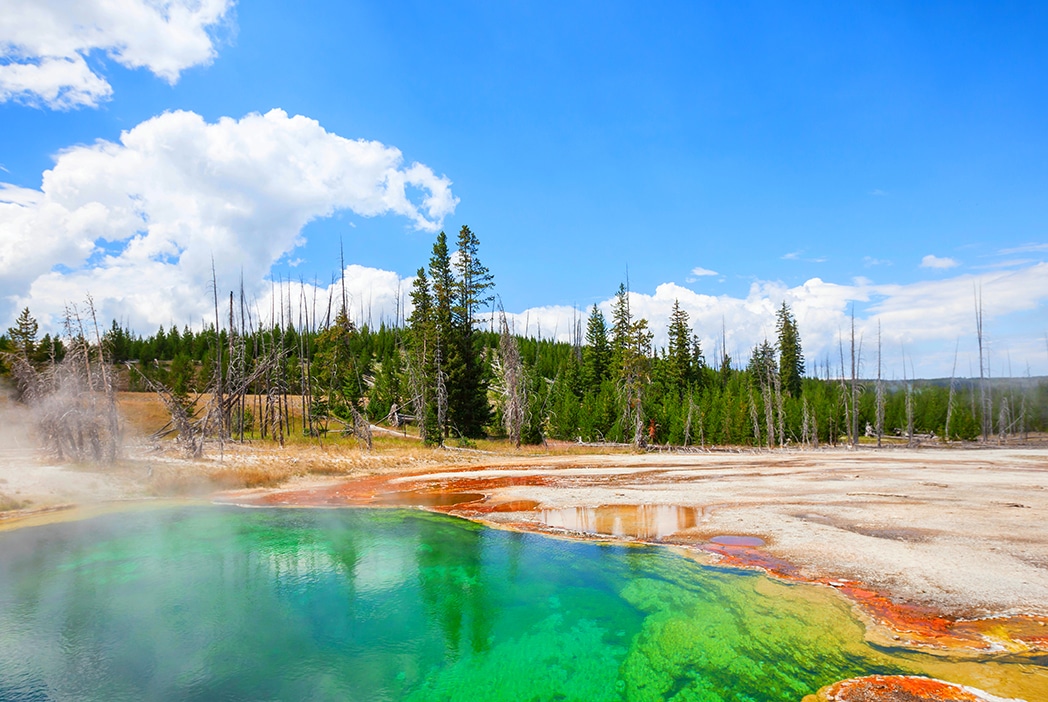 For an unforgettable group road trip, discover the stunning pools and geyser fields in Yellowstone National Park. | GroupTools